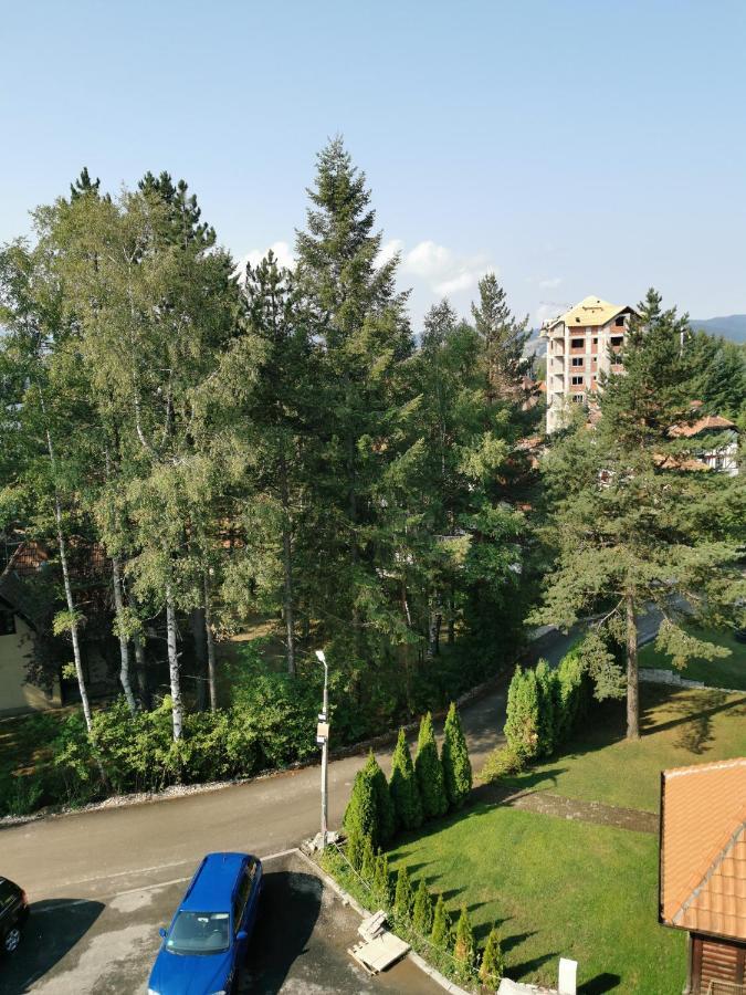 Apartman Stefanovic Vila Darija Lux Златибор Экстерьер фото